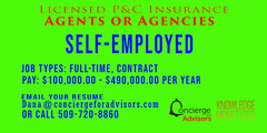 P&C/Life Insurance Agents or Agencies Licensed (self-employed)